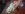 20150709_051322_resized.jpg