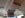 ImageUploadedByTapatalk1438010780.673475.jpg