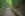 99-Trail.JPG