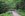 100-Trail.JPG