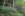 101-Trail.JPG