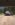 11954755_507596076061888_1489650036677526607_n.jpg