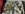 20150824_211932.jpeg