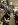 ImageUploadedByTapatalk1440815493.853355.jpg