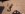 uploadfromtaptalk1442340491427.jpeg