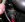 dogs and stuff 023.jpg