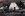 dogs and stuff 024.jpg