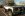 IMG_3296.JPG IMG_3296.JPG