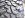 mtr2.jpg