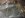 IMG_0051.JPG IMG_0051.JPG