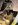 newbumpstop1.jpg