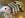 FullSizeRender.jpg