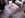 DSC00658.JPG