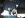 wfo-shifter-knobs-1.JPG