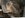 3500 aux springs-filter-options 003.jpg