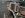 3500 aux springs-filter-options 006.jpg