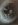 image.jpeg image.jpeg