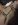 IMG_6866.JPG IMG_6866.JPG