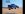 blue bug.jpg