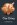 cha ching pig.jpg