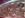 cucv parts 1.png