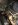 image.jpeg image.jpeg