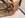 1935530_10207227759705723_6279263311805970612_n.jpg