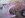CAM01331.jpg