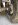 image.jpeg image.jpeg