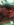 86GMCINT.jpg