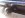 CAM01477.jpg