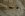 IMGP8410.JPG