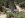 Big Bear 7_9_16 012.JPG
