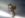 0720161230c.jpg