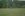 IMGP8812.JPG