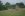IMGP8815.JPG