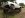 E7B2374F-9A42-4D11-A5E5-41478DD84F83_zpsv1yitnu8.jpg