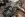 chevy_60_front_disc_brake_bracket6.jpg