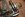 chevy_60_front_disc_brake_bracket8.jpg