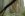 dscf1031.jpg