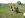 july 4th muddin 152.jpg