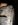 bogger fringe.JPG