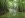rainy trail.jpeg