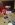 tmp_14214-VZM.IMG_20160825_2033021694858570.jpg