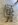 image.jpeg