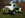 DSCN1060.jpg