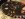 Old-Cam-Sprocket.jpg