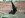 IMG_6018.JPG