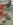 12313587_10153243523215267_2634858760869253414_n.jpg