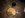 IMG_8583.JPG IMG_8583.JPG